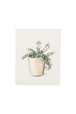 Potted Plant Small Canvas Wall Art