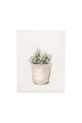 Potted Plant Large Canvas Wall Art